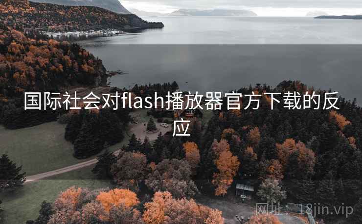 国际社会对flash播放器官方下载的反应  第2张